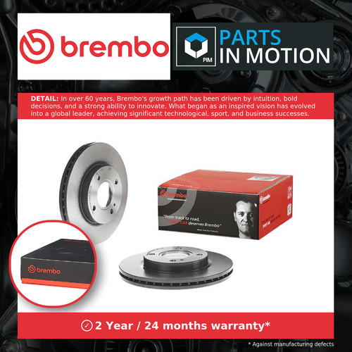Brake discs pair - brake, vented
