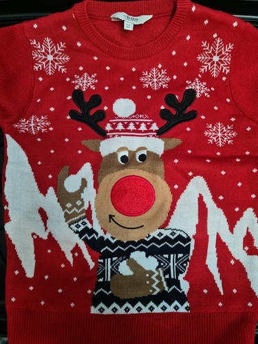 Children christmas jumper - children,