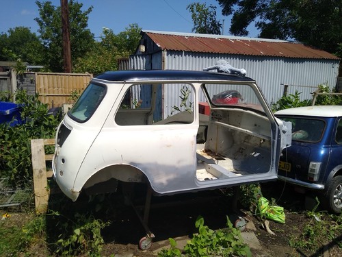 Classic mini shell - classic,