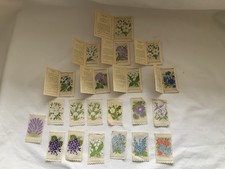 KENSITAS SILK FLOWERS SERIES JOB LOT BUNDLE