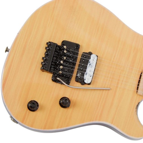 Eddie van halen guitar - eddie,