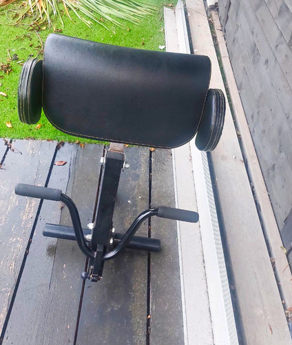 Powertec bicep curl bench
