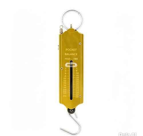 Portable hanging scale - scale, 50kg