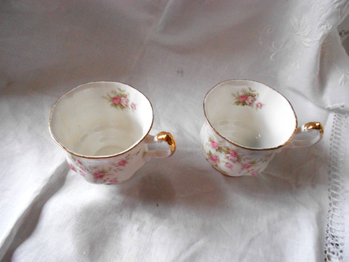 Two paragon victoriana rose - paragon,
