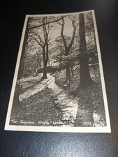 The Serpentine Woods, KENDAL