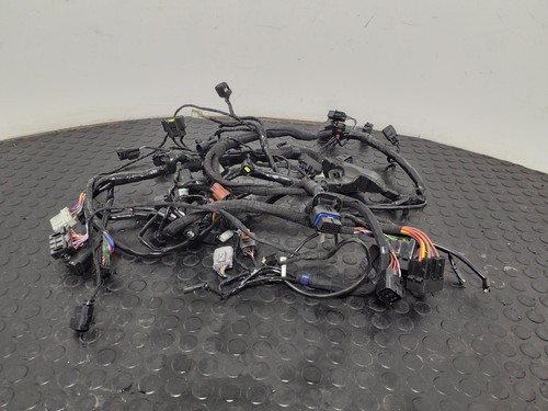 Triumph tiger sport 660 wiring - triumph,