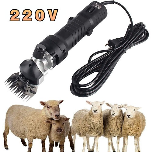 220 electric sheep - 220,