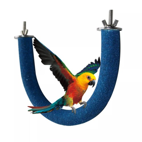For cockatiel parrot perch - parrot,