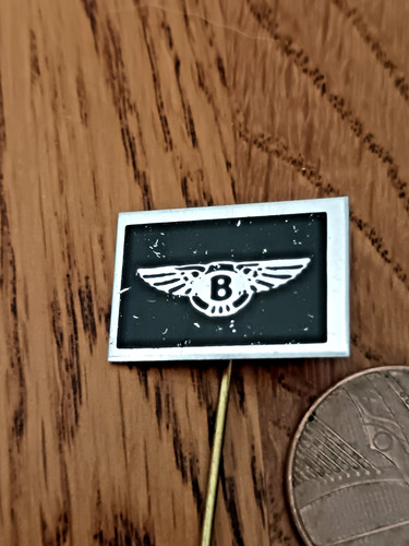 Vintage stick pin badge - pin,
