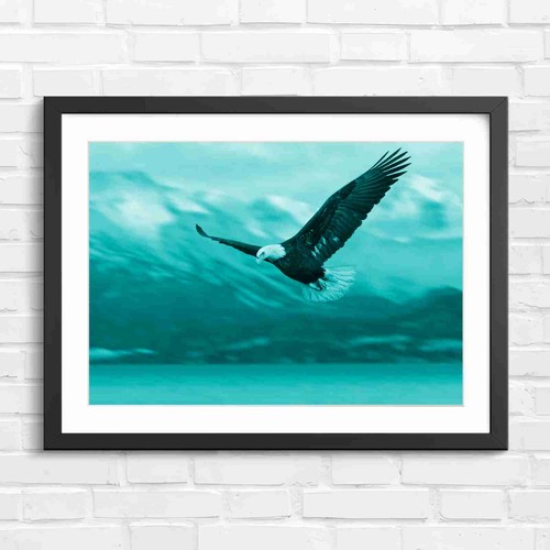 Flying bald eagle mountains - bald,