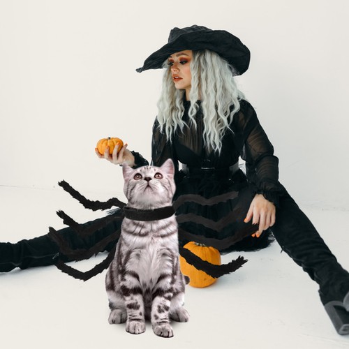 Halloween dog spider costume - spider,