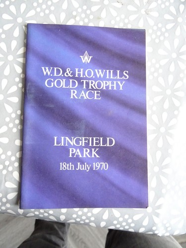 Lingfield park race - lingfield,