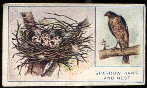 Tobacco card godfrey - card,,