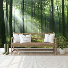 FOREST TREE SUN NATURE Photo