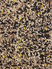 CANARY SEED MIXTURE SKY GOLD