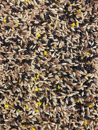 Canary seed mixture sky gold - canary,