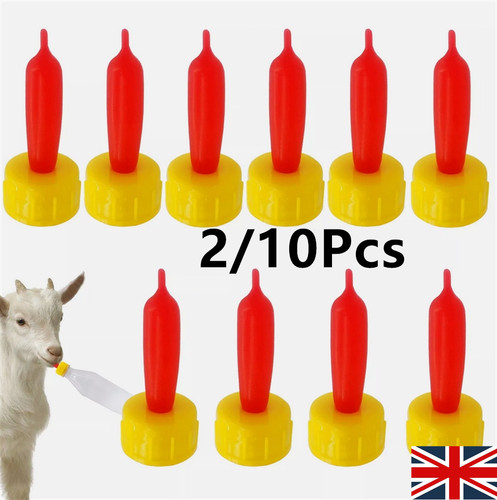 Pack lamb teat - pack, lamb-teat