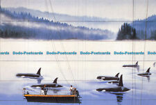 R069098 Melville Street At Bute. Whaling Wall Painting by Wyland Dominates the S