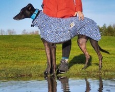 Greyhound Blue Leopard Fleece