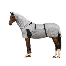 Anti Fly Rug Horse Fixed Neck