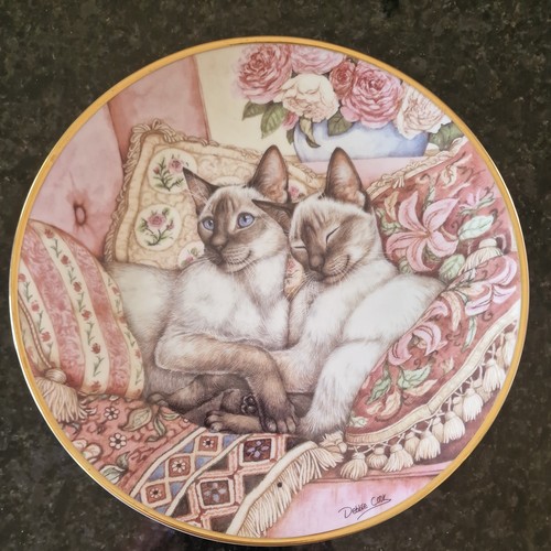 Siamese cats plate debbie - ,