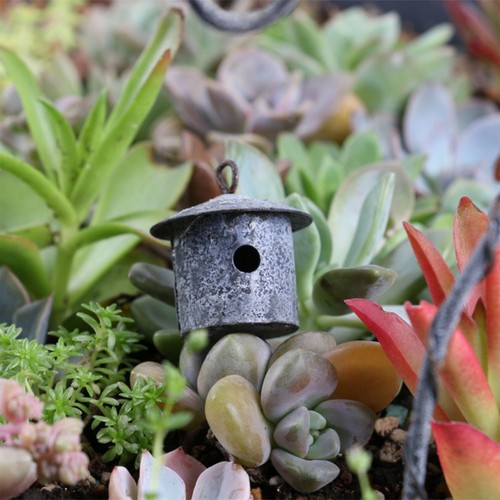 Generic dollhouse bird - generic,