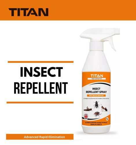 Garden ant flies - garden,