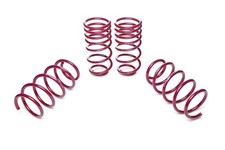 Vogtland Lowering Springs for