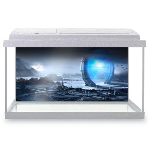 Fish tank background - tank,