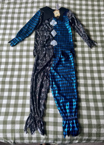Kids jester costume blue - jester,