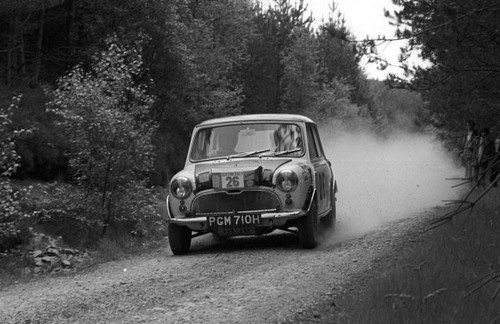 Mini cooper erc rally - mini,