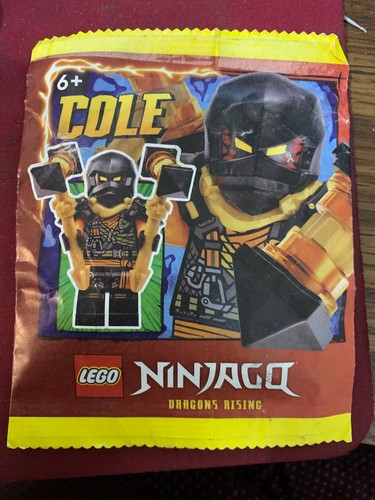 Lego ninjago dragons rising - dragons,