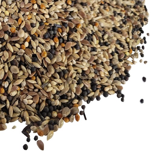 British finch 350g 1kg - finch,