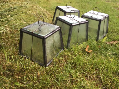 Lantern cloches hand lights - lantern, cloches,