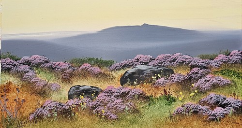 Dartmoor west devon - “dartmoor,, devon”