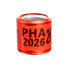 2026 Multicolor 60pcs*8mm Bird