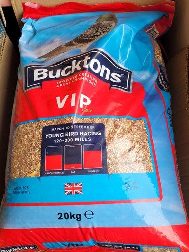 Bucktons vip racing pigeon - bucktons,
