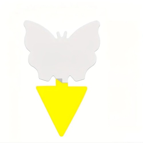 Yellow sticky insect fly - insect,