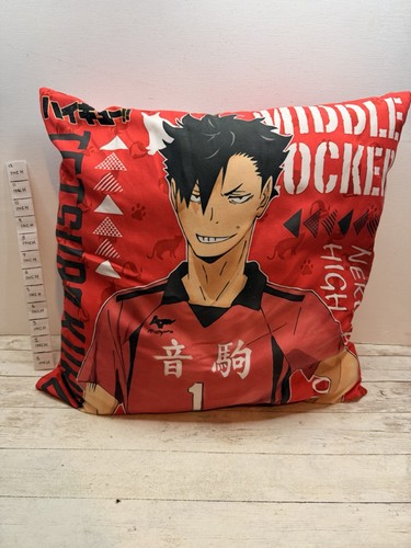 Haikyuu anime manga - , two