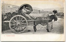 Early postcard Costumi Romani Gypsy trader plumed horse cart wine barrels AA990