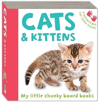Cats and kittens - cats, very