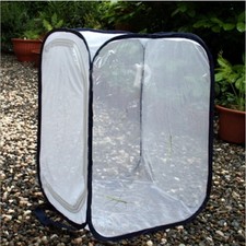 Outdoor insect cage - outdoor,