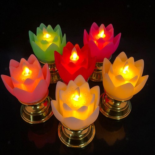 Lotus lamp safe solemn - lamp,