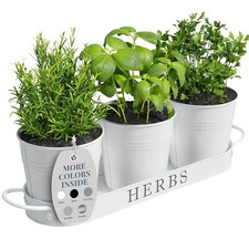 Barnyard Designs Herb Pot Planter Set with Tray for Indoor Garden or Outdoor Use