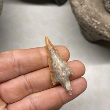 MLC s8388 Neolithic Stemmed