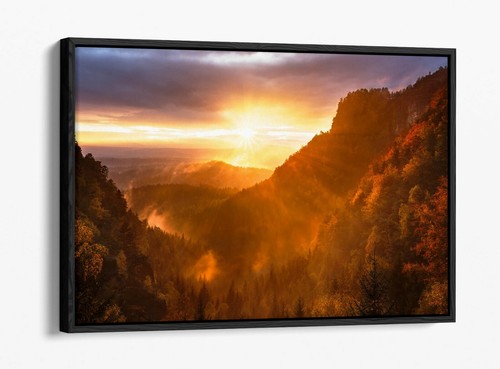 Mountain forest sunset - mountain, -float