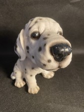 Vintage Dalmatian Puppy