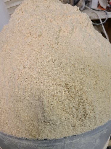 Saw dust spruce without - saw,
