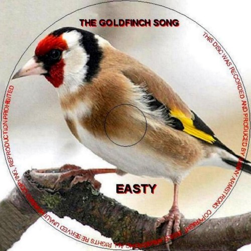 Pure english goldfinch - pure,
