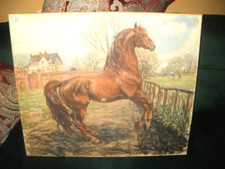 canvas horse painting